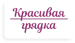 Красивая грядка