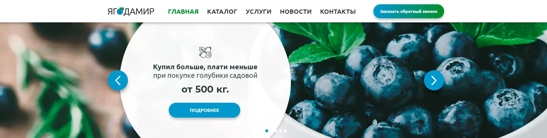 ЯгодаМир - слайдер на главной