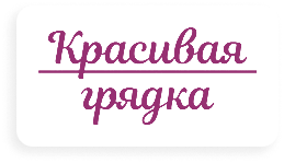 Красивая грядка