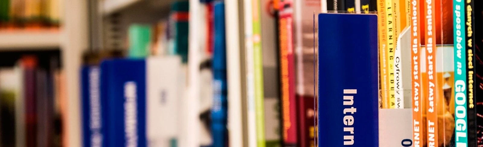 Наполнение сайта контентом